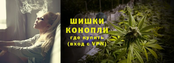 PSILOCYBIN Балахна