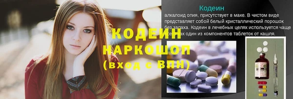 PSILOCYBIN Балахна