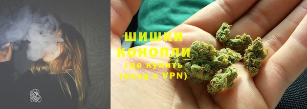 PSILOCYBIN Балахна