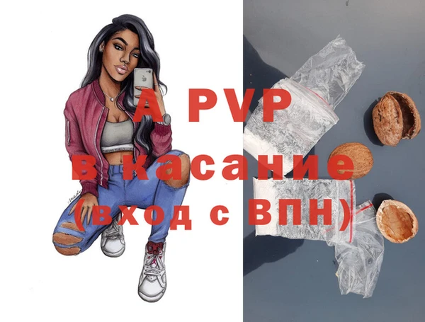 PSILOCYBIN Балахна