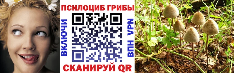 Галлюциногенные грибы Psilocybe  дарнет шоп  Сковородино 